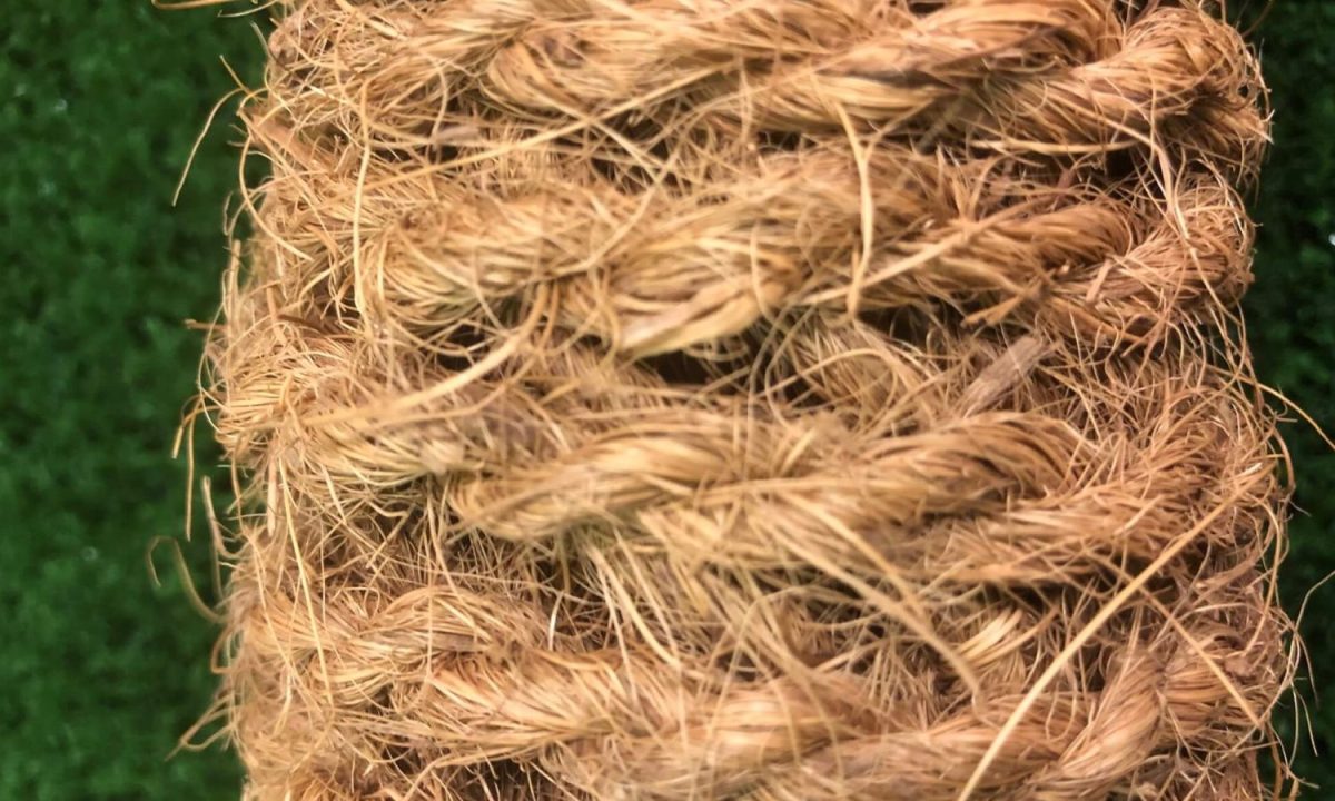 Menuju Masa Depan Hijau: Keajaiban Sabut Kelapa Serat Alami