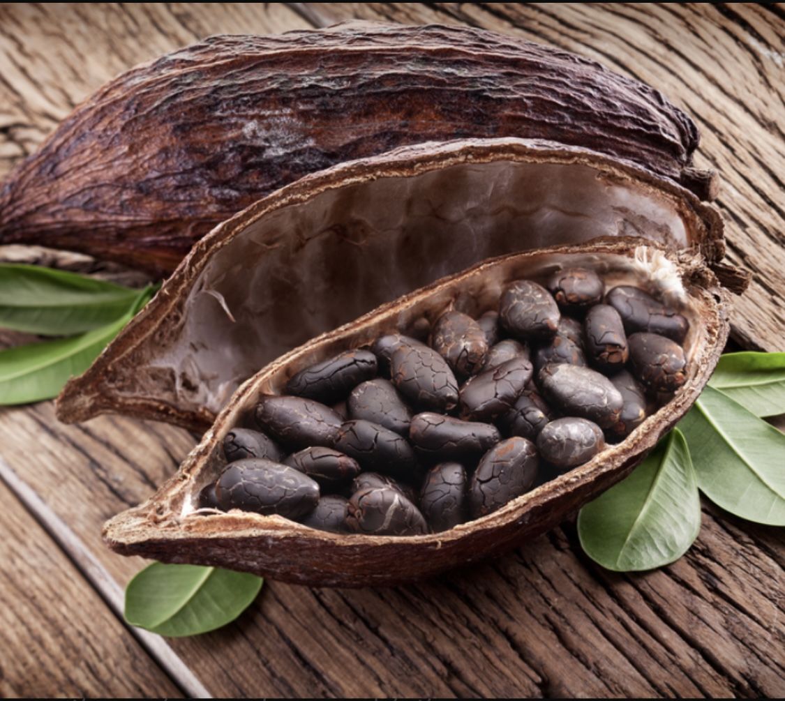 Cara Pisahkan Biji Kakao dari Kulit dengan Mudah dan Efisien